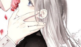 情侣 动漫,情侣动漫中的浪漫时光