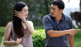 电视剧《一仆二主》,揭秘现代都市中的情感纠葛与职场风云